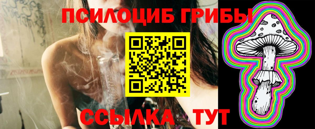 где купить наркоту  Вход с VPN  Кинель  Псилоцибиновые грибы Magic Shrooms 
